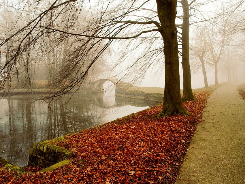 Landscape, Nature, Autumn, HD wallpaper