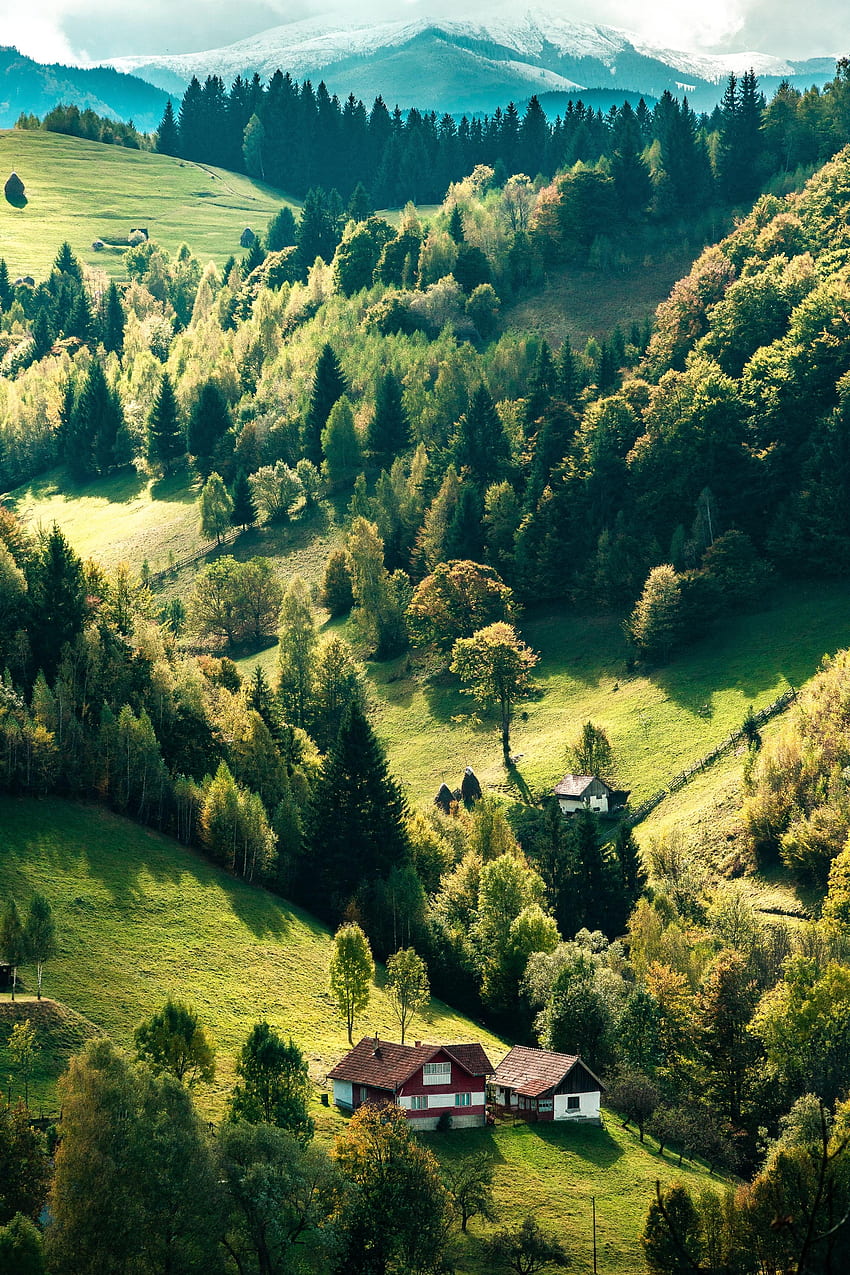 Nature, Trees, Forest, House, Village, Hills, HD phone wallpaper